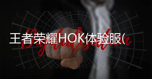 王者荣耀HOK体验服(Honor of Kings-Beta)