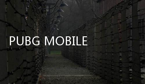 PUBG MOBILE LITE(ks-linghu)