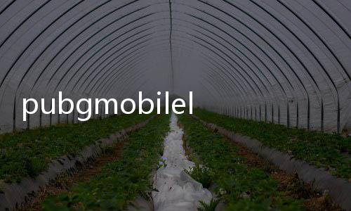 pubgmobilelite